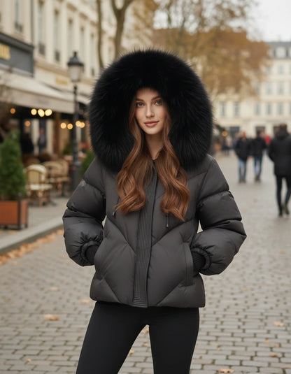 Amorellelle Jacket — Black | SKU: RB-0ac176-black-XS,RB-0ac176-black-S,RB-0ac176-black-M,RB-0ac176-black-L,RB-0ac176-black-XL,RB-0ac176-black-2XL