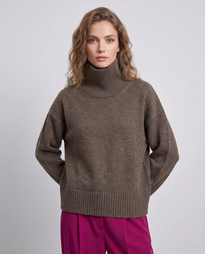 Coralise Sweaters — Brown | SKU: RB-ae16e8-brown-XS,RB-ae16e8-brown-S,RB-ae16e8-brown-M,RB-ae16e8-brown-L,RB-ae16e8-brown-XL,RB-ae16e8-brown-2XL