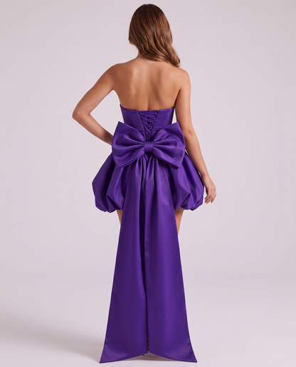 Veloura Mini Dress