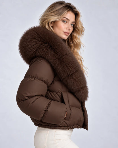 Mathilde Jackets — Coffee | SKU: RB-79265d-coffee-XS,RB-79265d-coffee-S,RB-79265d-coffee-M,RB-79265d-coffee-L