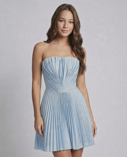 Veloria Mini Dress