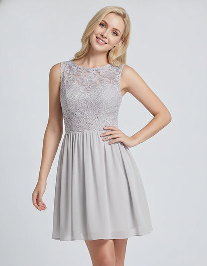 Lace Chiffon Sleeveless Scoop Neck A-Line Mini Dress for Party, Cocktail, Evening Events, Summer Celebrations & Wedding Guest | SKU: VMD-583920174628315-SILVER-L,VMD-583920174628315-SILVER-M,VMD-583920174628315-SILVER-S,VMD-583920174628315-SILVER-XL,VMD-583920174628315-SILVER-XS